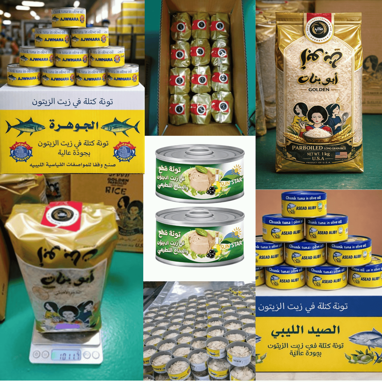 مخازن أسوار المدينة